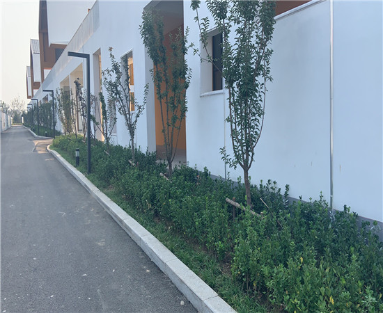 道路綠化設(shè)計(jì)